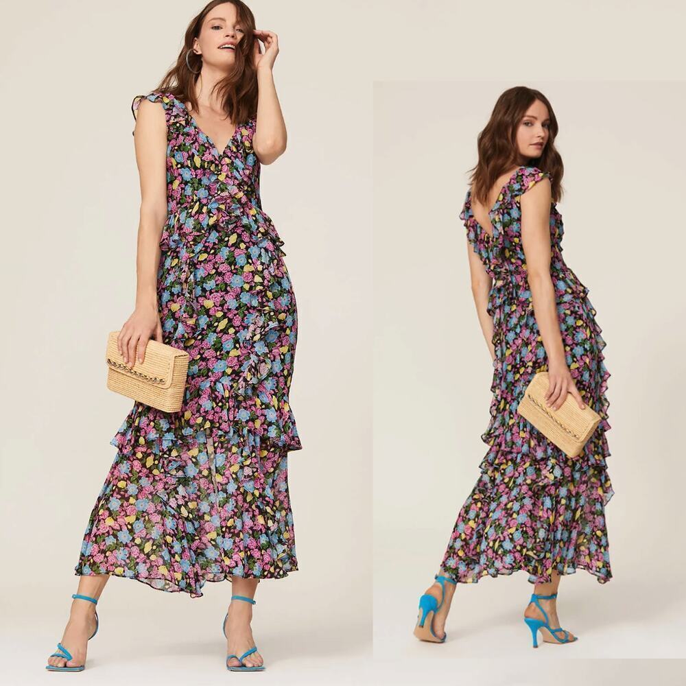 AMUR Evita Multi Color Floral  Maxi dress - Size 2